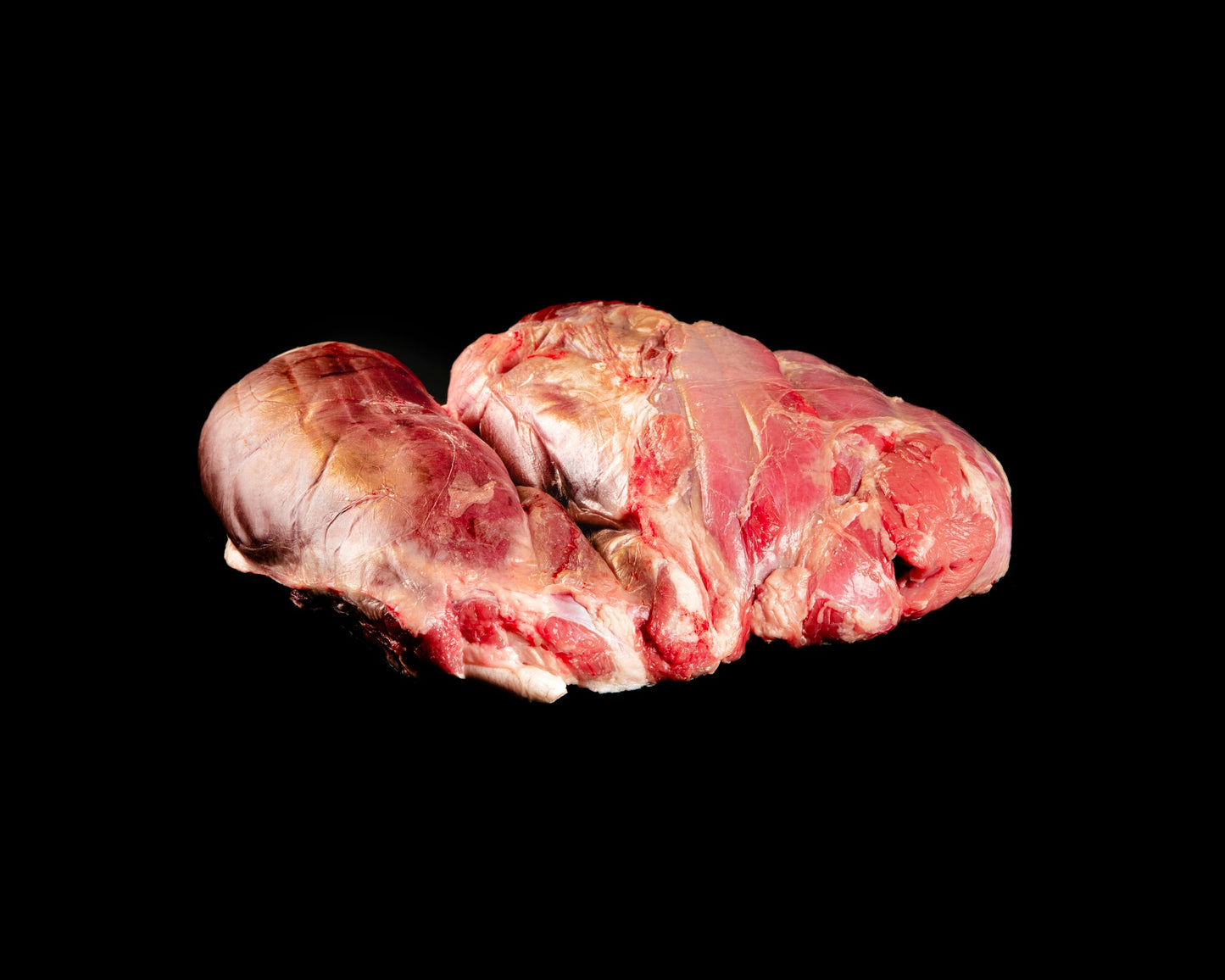 Zancarron de potro raza Pottoka