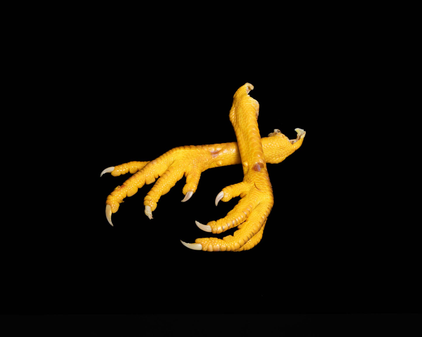 Patas de andar de pollo de caserío