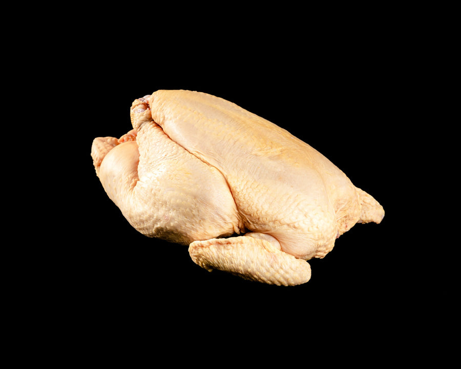 Pollo de caserío entero fresco, criado en libertad